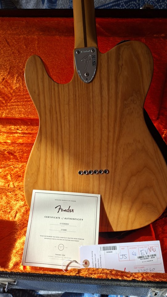Fender AV II 72 Tele Thinline MN AGN
