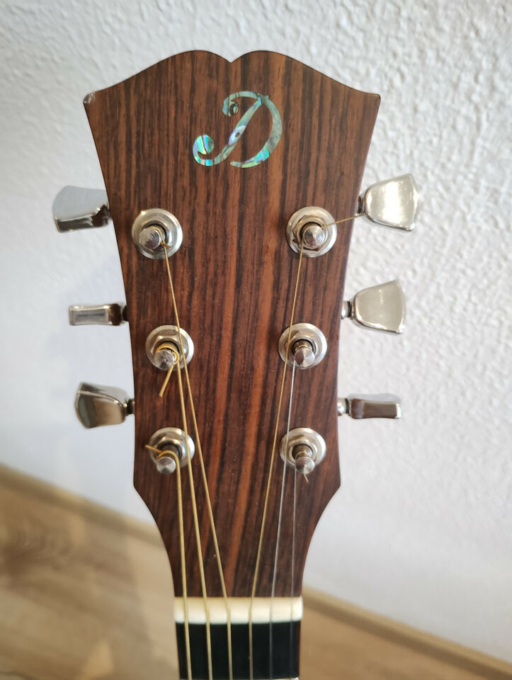Guitarra acústica Dowina Danubius GACE  L.R. Baggs