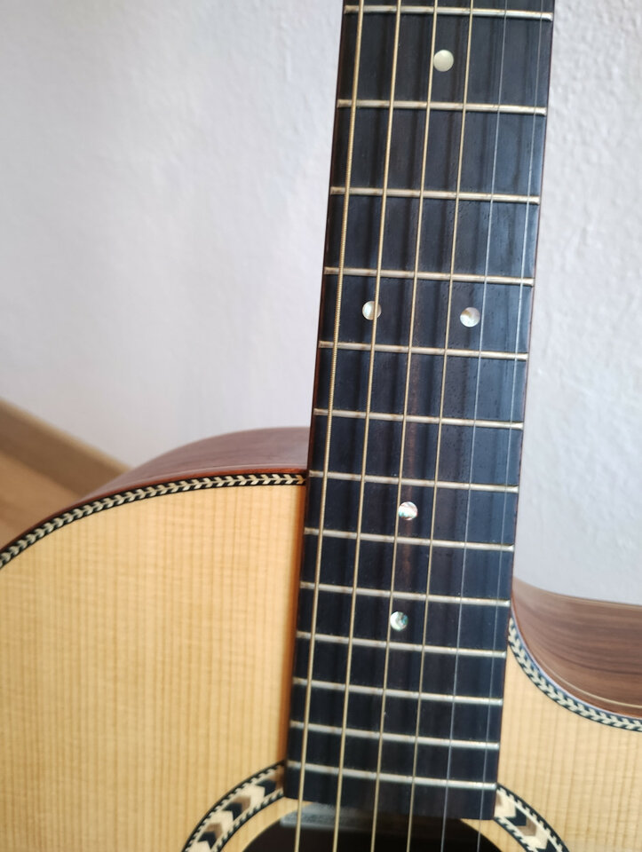 Guitarra acústica Dowina Danubius GACE  L.R. Baggs