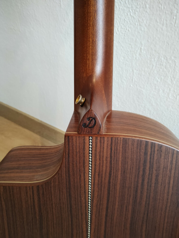 Guitarra acústica Dowina Danubius GACE  L.R. Baggs