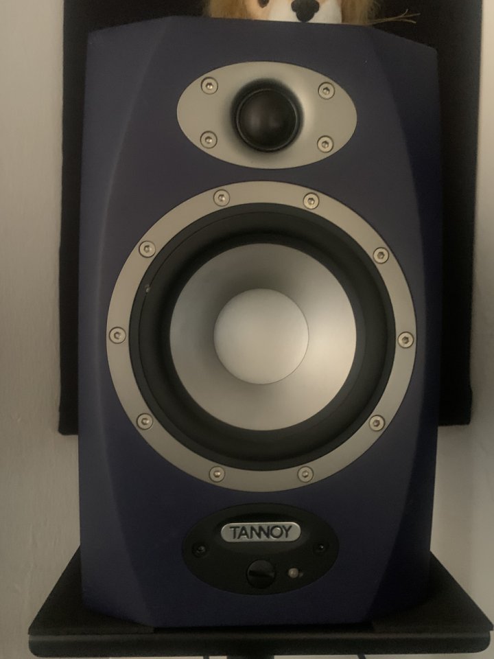 Vendo monitores activos de estudio Tannoy Reveal con stands - 250€