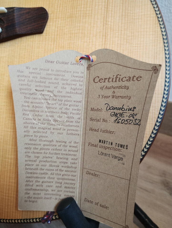 Guitarra acústica Dowina Danubius GACE  L.R. Baggs
