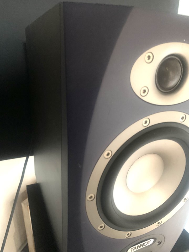 Vendo monitores activos de estudio Tannoy Reveal con stands - 250€