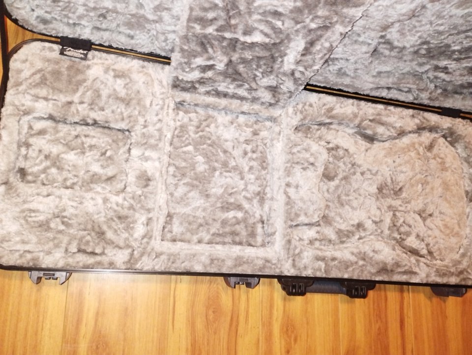 Estuche rígido Fender stratocaster