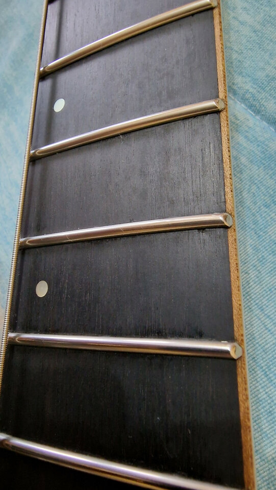 schecter banshee 7 passive