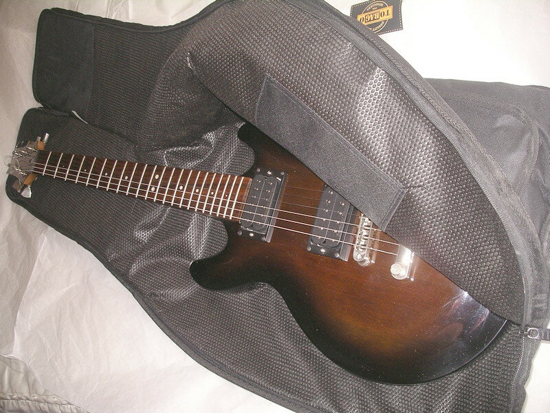 Lag Roxane 100 Standard + apantallado + funda