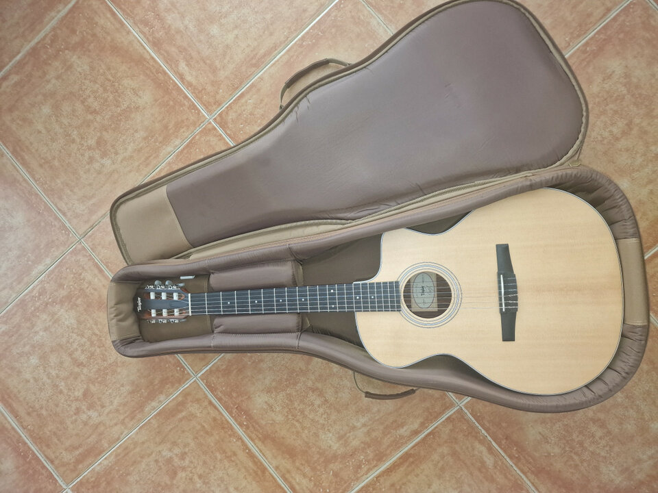 Taylor 214 ce-N