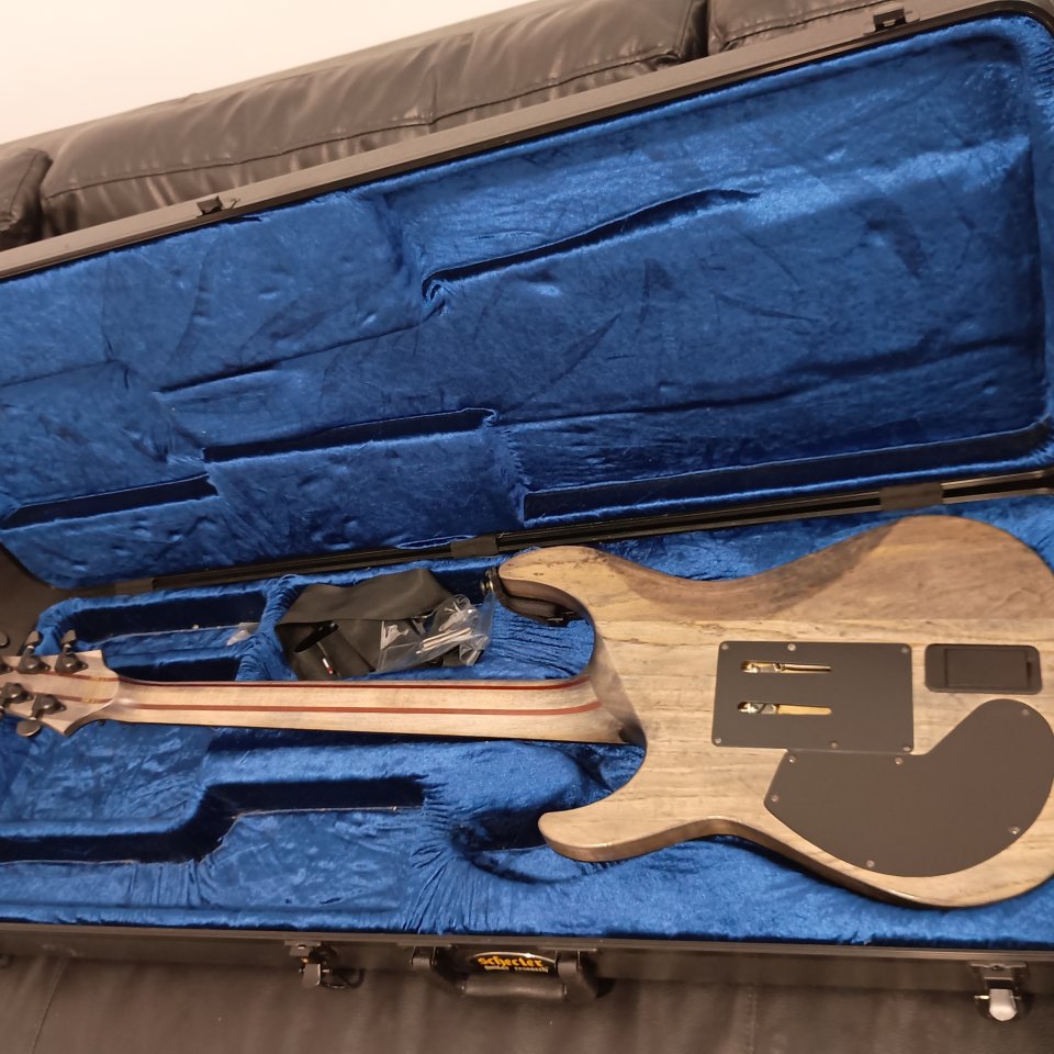 Scheter C-1FR S Apocalypse de segunda mano · Foto 8 de 10 · Málaga · 1100 €