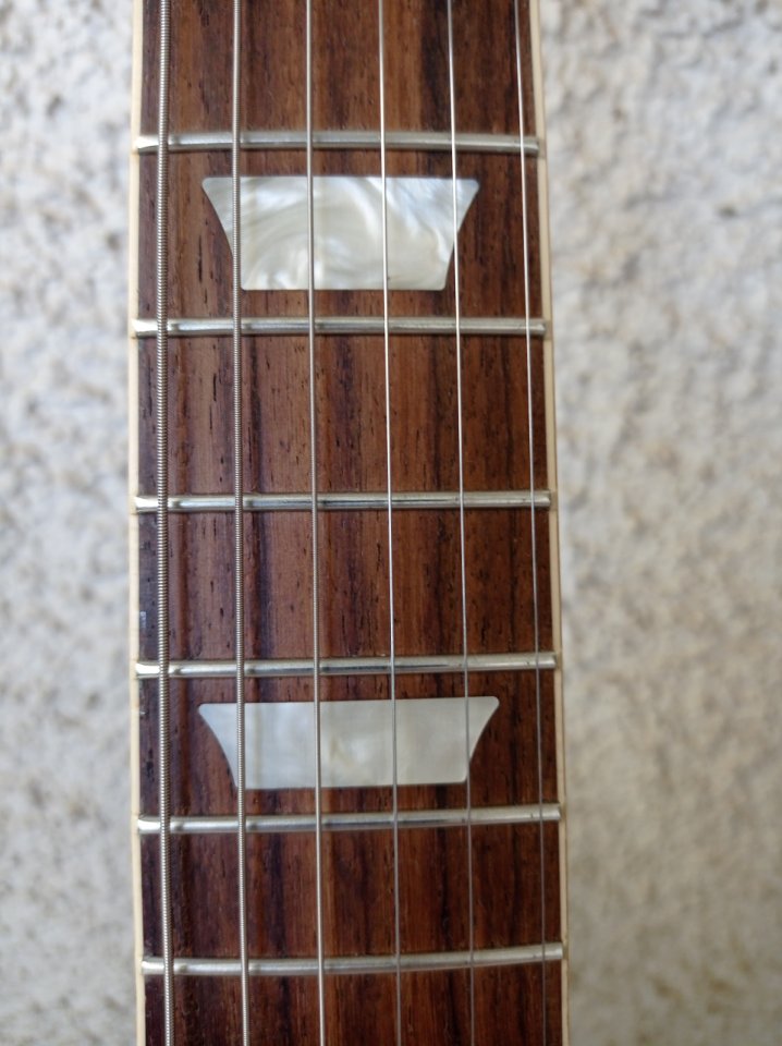 Gibson Les Paul 50s Goldtop + funda dura de segunda mano · Foto 2 de 9 · Madrid · 2200 €