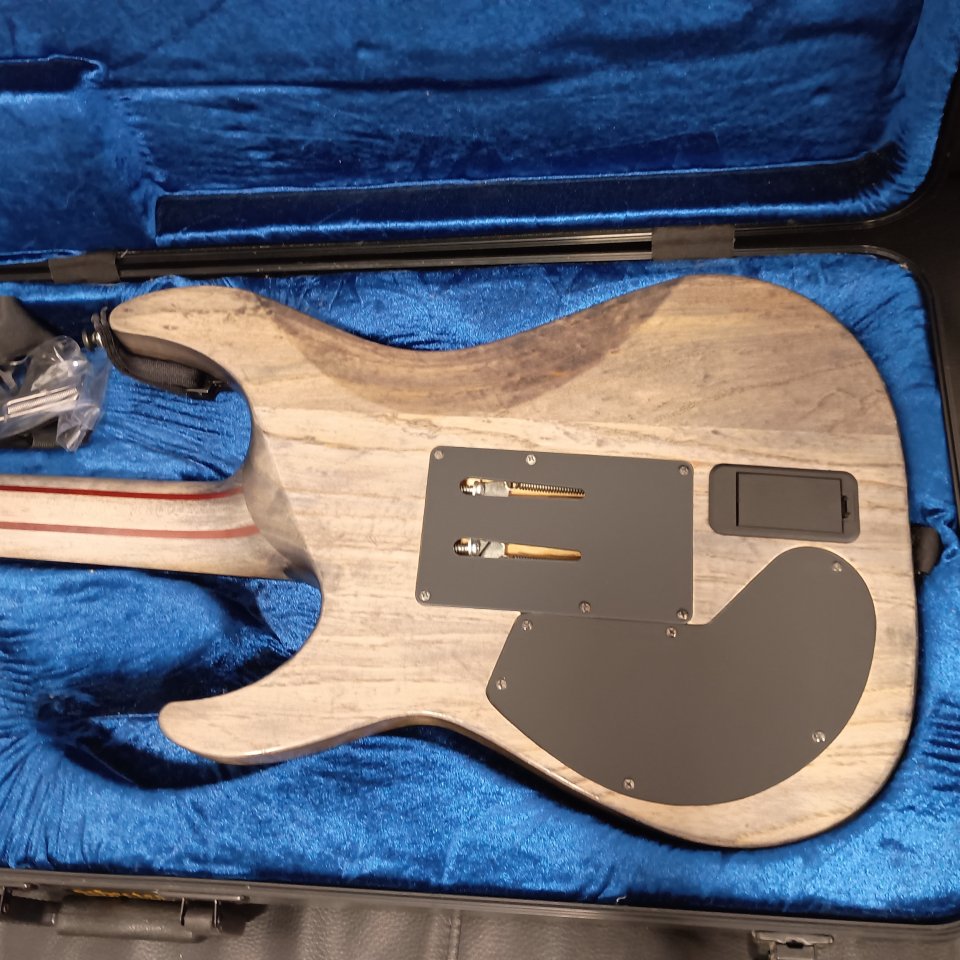 Scheter C-1FR S Apocalypse de segunda mano · Foto 7 de 10 · Málaga · 1100 €