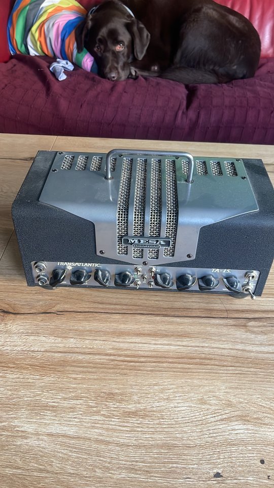 Mesa Boogie TA-15 25W Bicanal