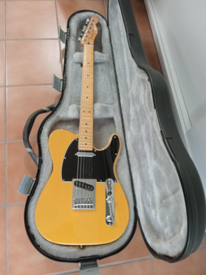 Fender Telecaster player plus bb