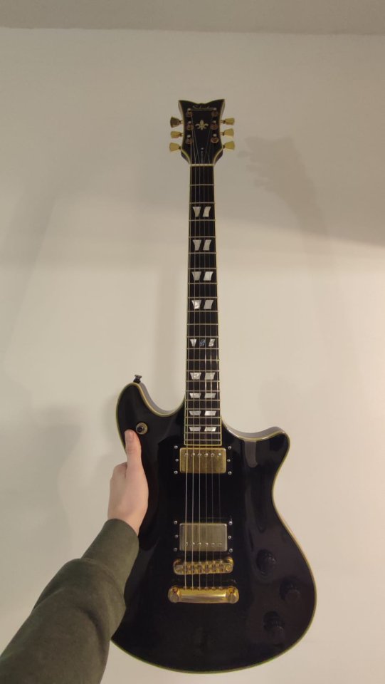 Schecter tempest custom