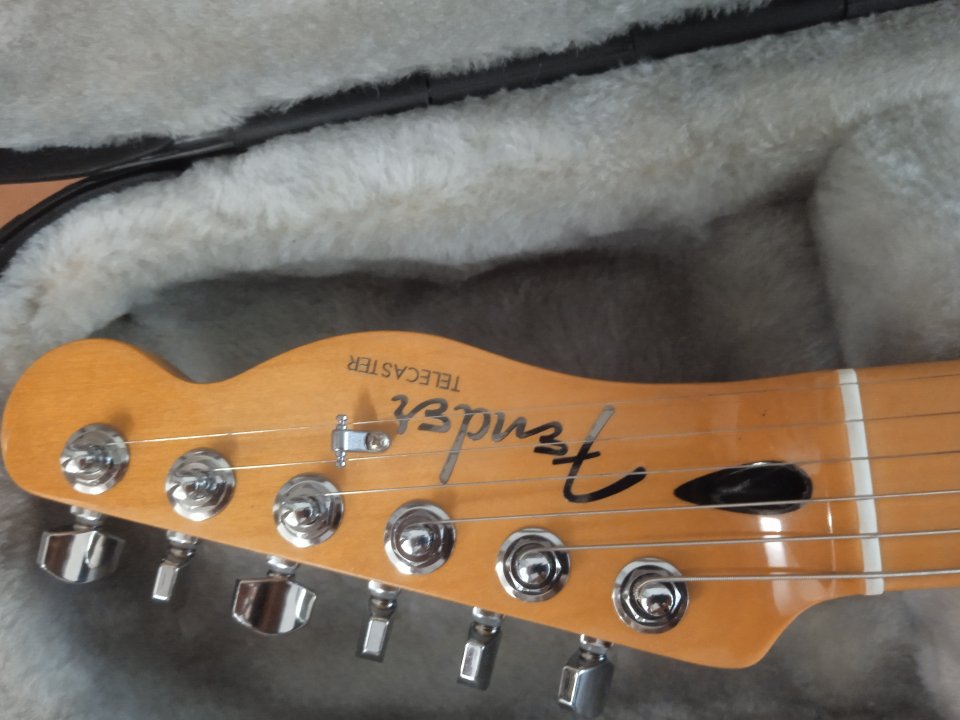 Fender Telecaster player plus bb