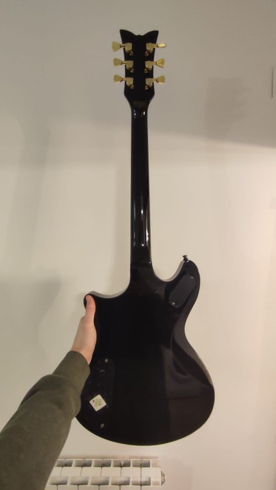 Schecter tempest custom