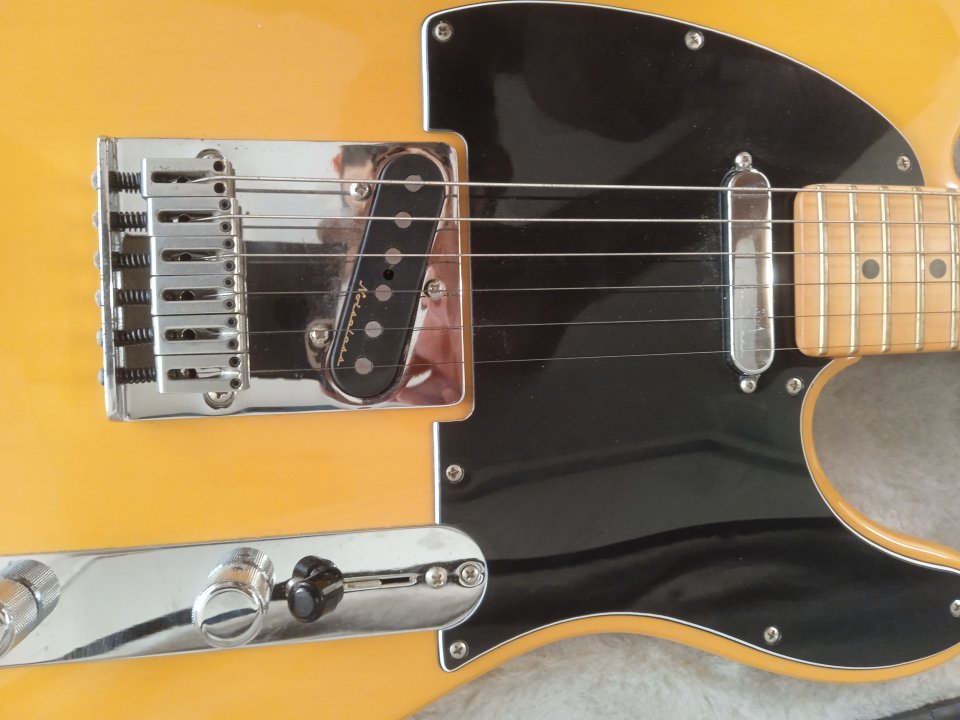 Fender Telecaster player plus bb
