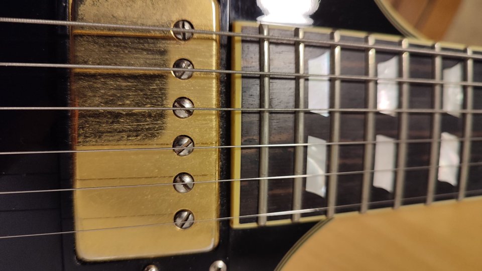 Schecter tempest custom