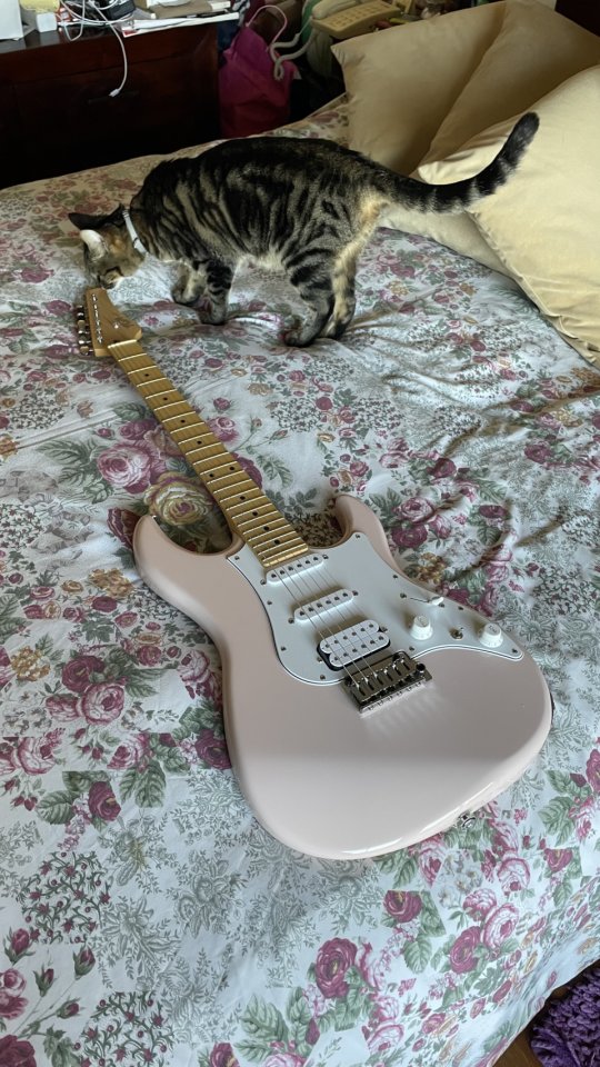 FGN J Sstandard Odyssey Made in Japan de segunda mano · Foto 2 de 4 · Madrid · 850 €