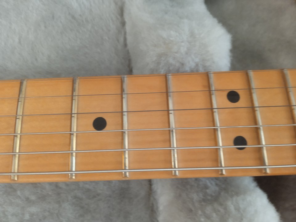 Fender Telecaster player plus bb