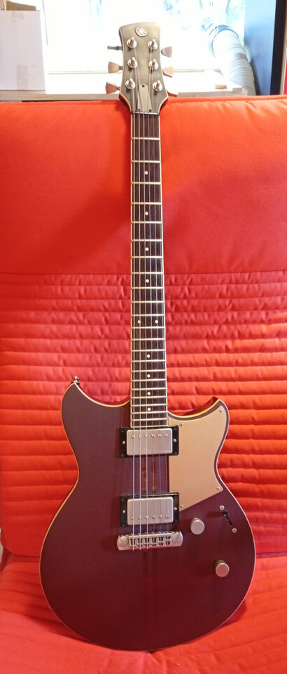 YAMAHA REVSTAR RS820CR