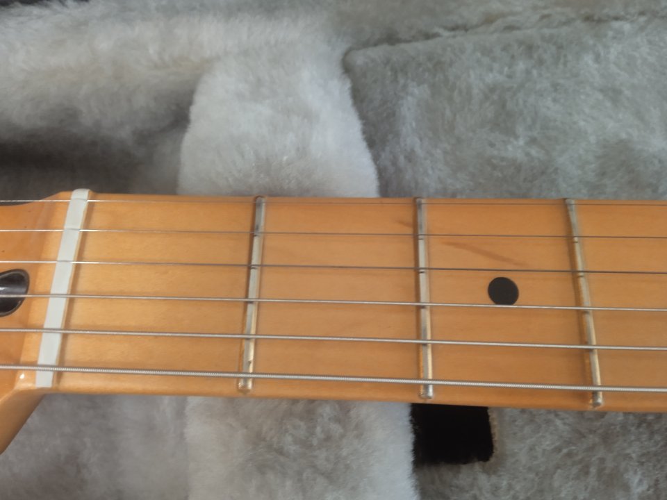 Fender Telecaster player plus bb