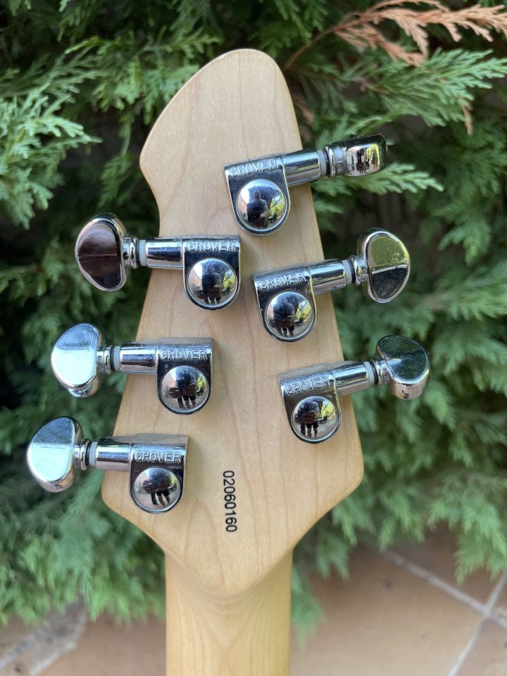 Guitarra Peavy EVH special