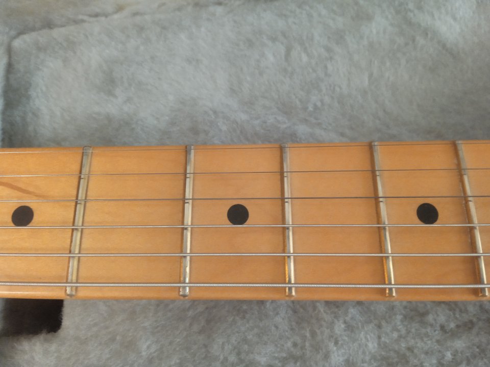 Fender Telecaster player plus bb