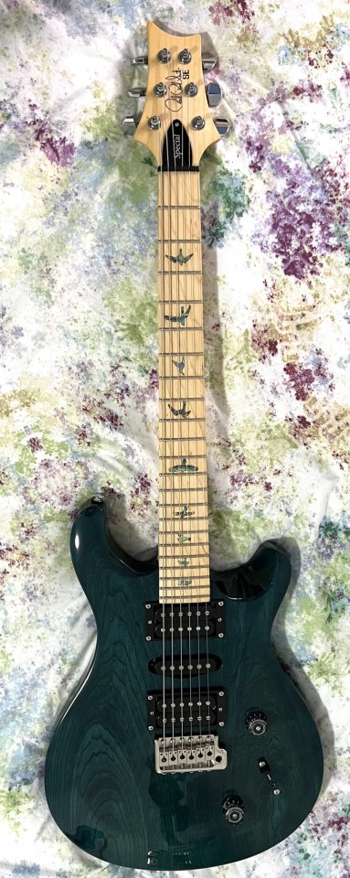 PRS SE Swamp Ash Special IB