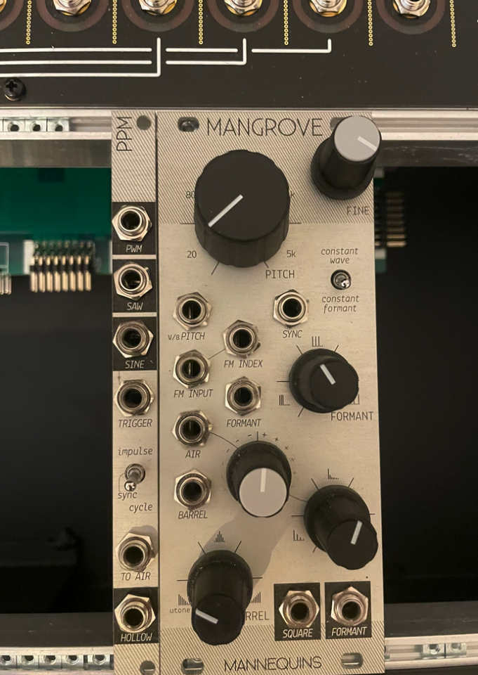 Mannequins MANGROVE + PPM Eurorack x 2 de segunda mano · Málaga · 380 €