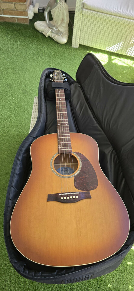 Guitarra Acústica Seagull