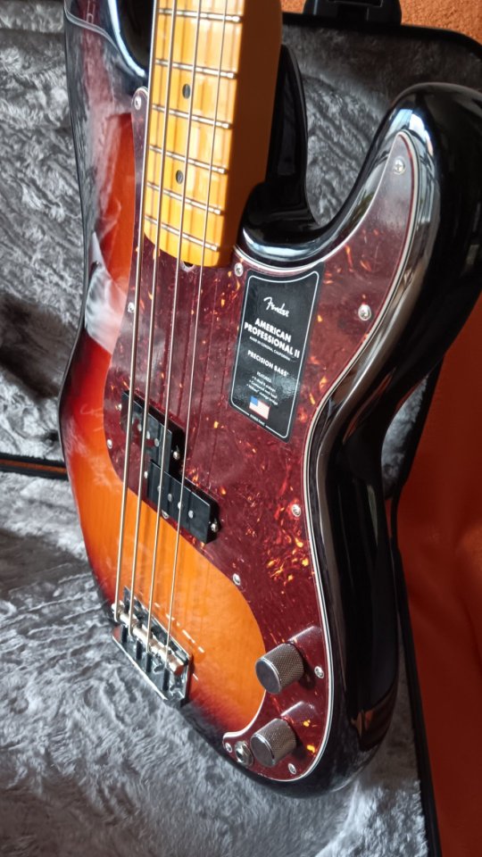 Fender American Professional II Precision Bass