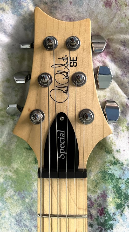 PRS SE Swamp Ash Special IB