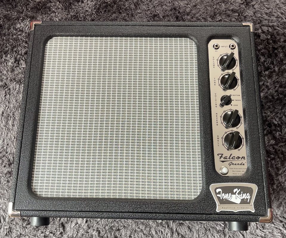 Tone King Falcon Grande de segunda mano · Foto 1 de 9 · A Coruña · 1300 €