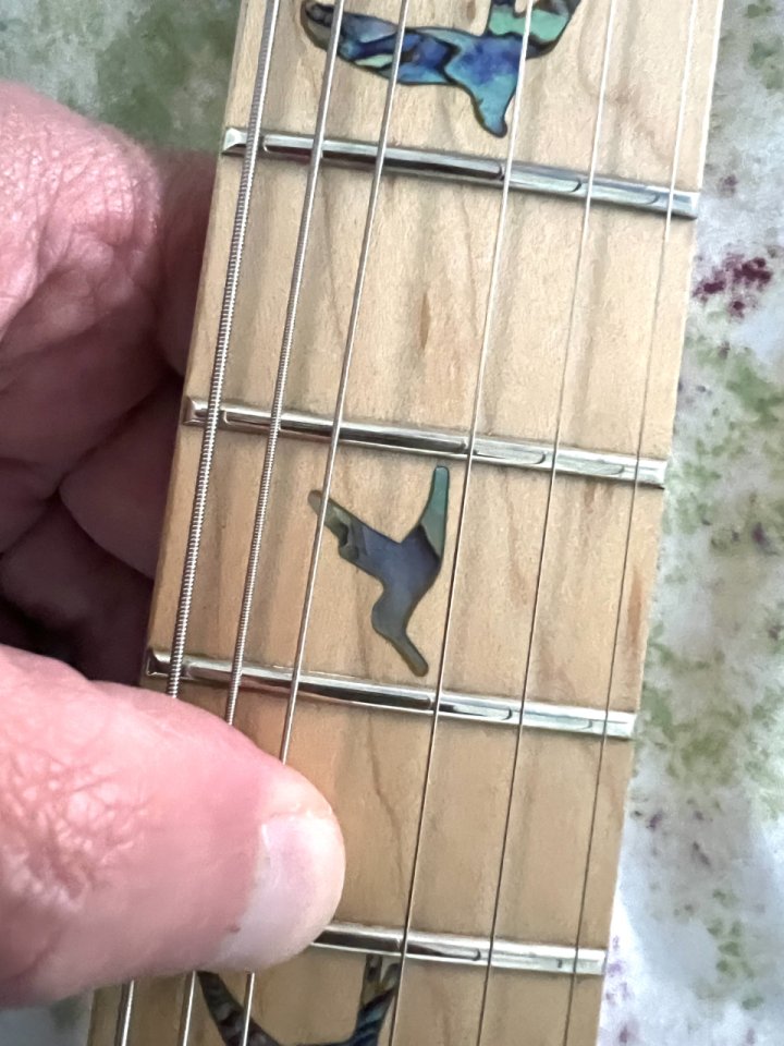 PRS SE Swamp Ash Special IB