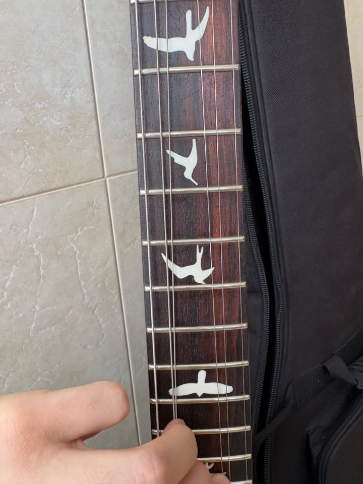 PRS S2 Custom 24 Transparent Purple de segunda mano · Foto 5 de 10 · Alicante · 1300 €