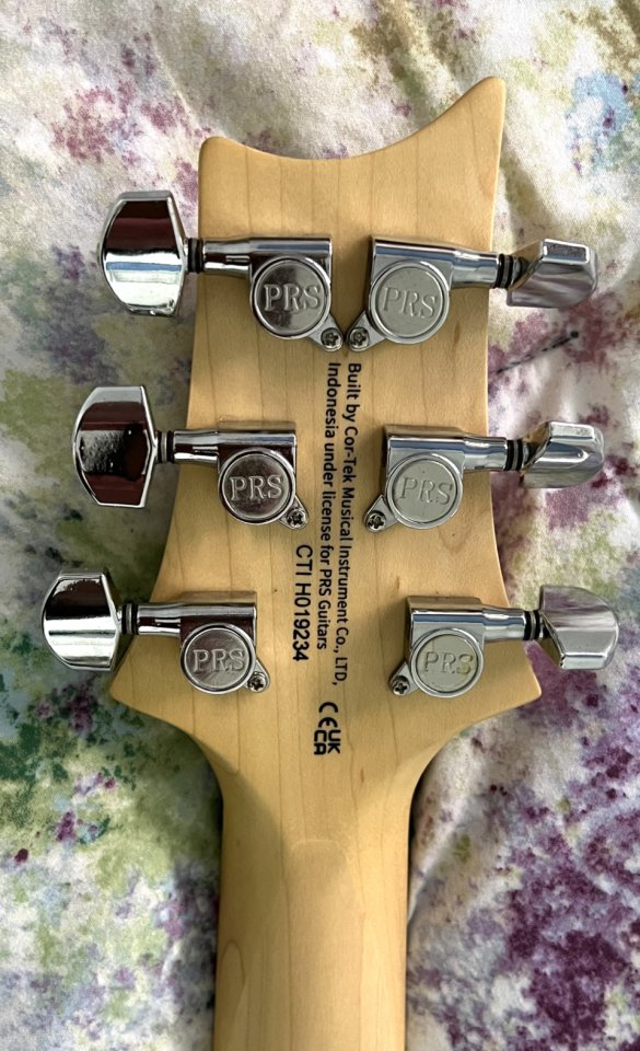 PRS SE Swamp Ash Special IB