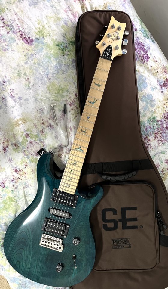 PRS SE Swamp Ash Special IB