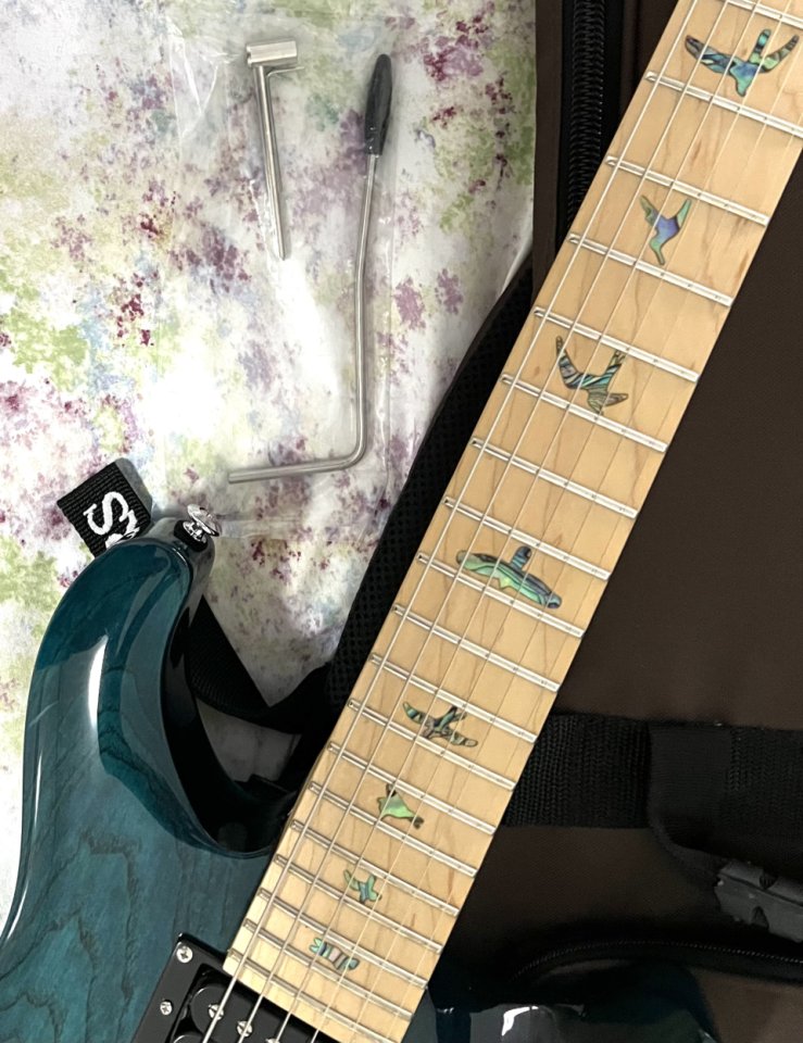 PRS SE Swamp Ash Special IB