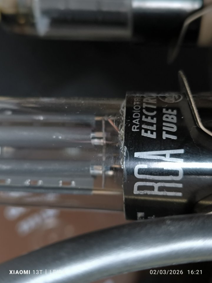 Réplica Fender Champ handwired Custom