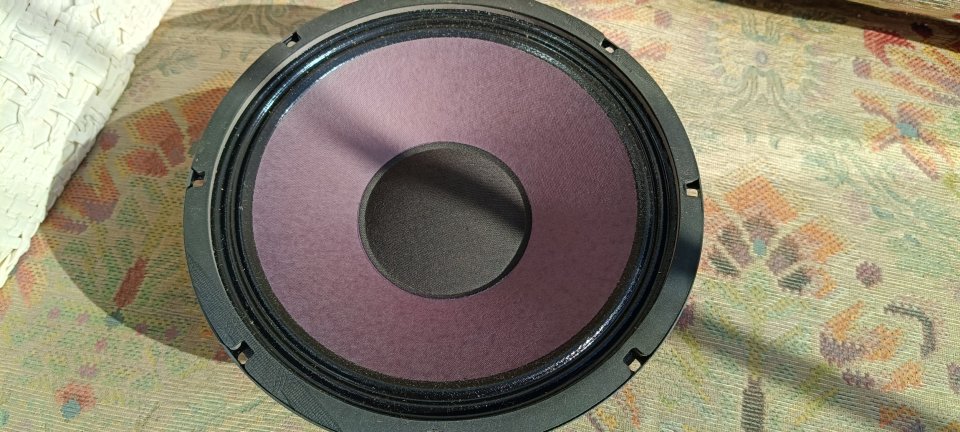 Altavoz Eminence Patriot Ragin Cajun de 10 pulgadas de segunda mano · Foto 3 de 5 · Cantabria · 75 €