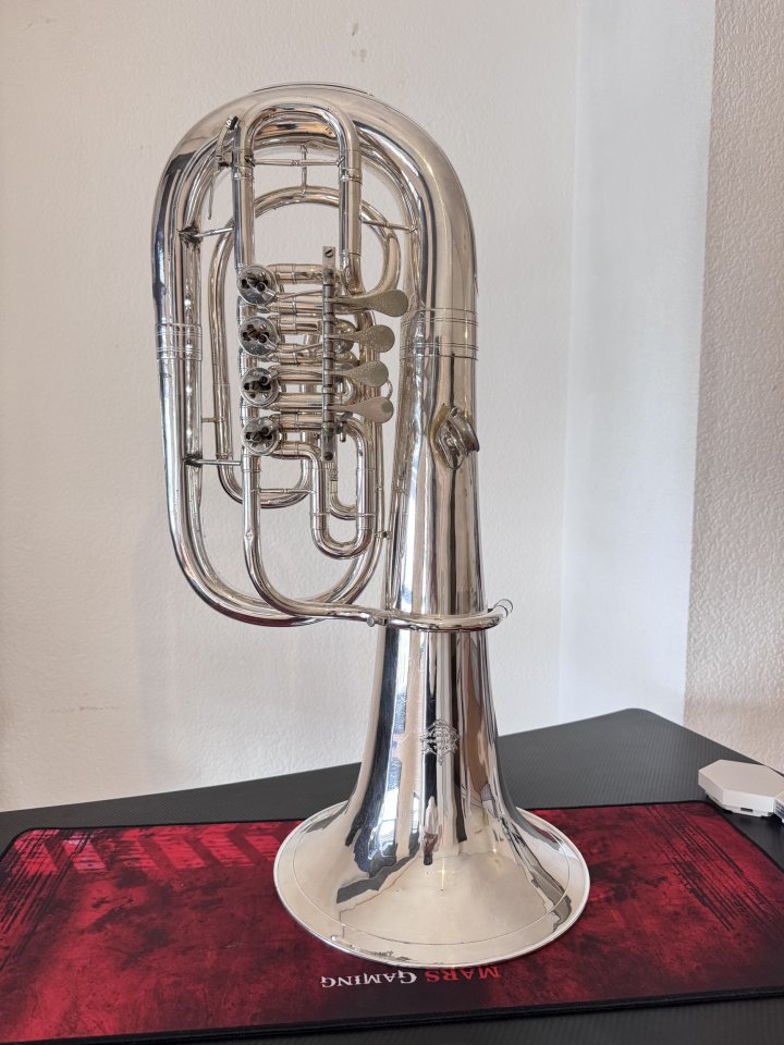 Bombardino Alexander Mainz de segunda mano · Foto 1 de 6 · Valencia · 3000 €