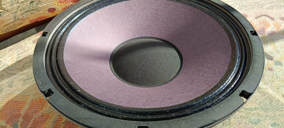 Altavoz Eminence Patriot Ragin Cajun de 10 pulgadas de segunda mano · Foto 4 de 5 · Cantabria · 75 €