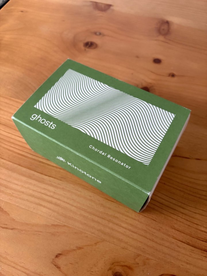Kinotone Ghosts Chordal Resonator de segunda mano · Foto 5 de 6 · Barcelona · 550 €
