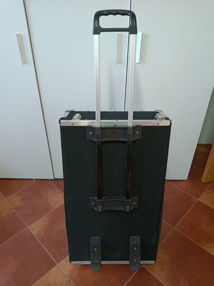 Pedalboard con ruedas de segunda mano · Foto 2 de 10 · Pontevedra · 100 €