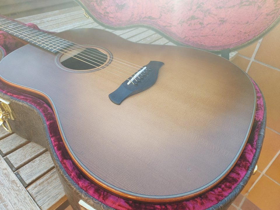 Taylor 717e builder's edition