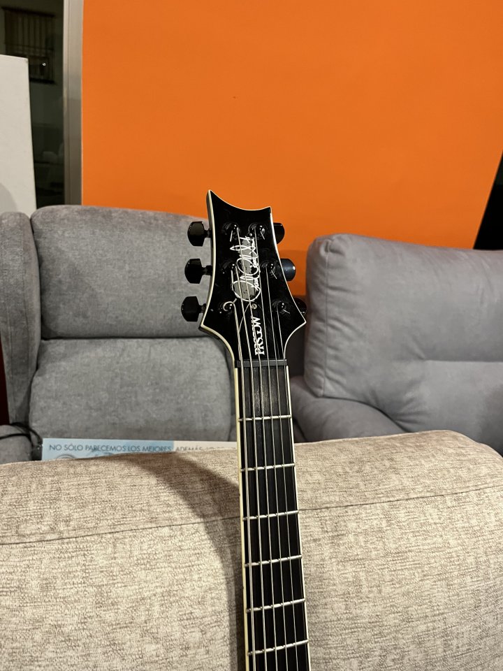 Prs Mike Mushok con mods