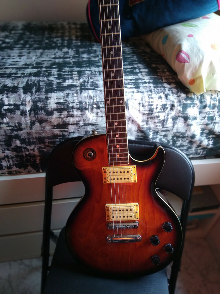 Les Paul Hohner serie Arbor