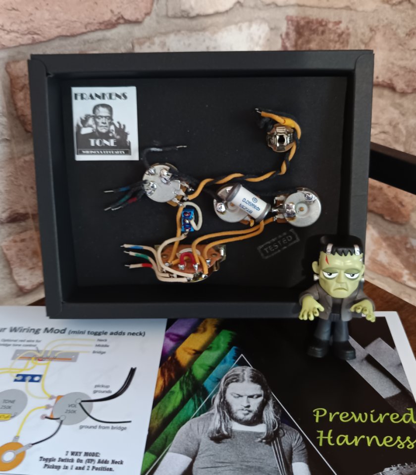 Arnes precableado STRATOCASTER modo GILMOUR. de segunda mano · Foto 1 de 5 · Bizkaia · 100 €