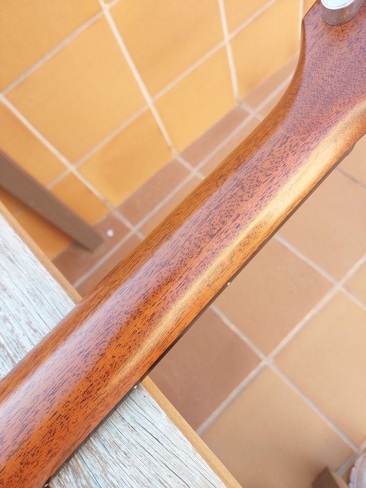 Taylor 717e builder's edition