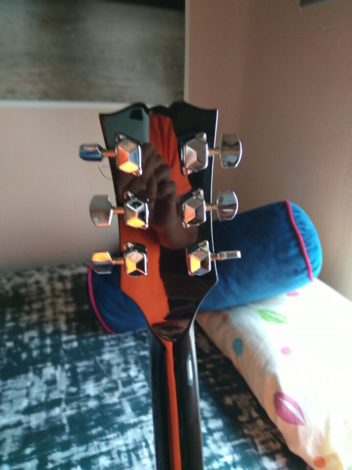 Les Paul Hohner serie Arbor